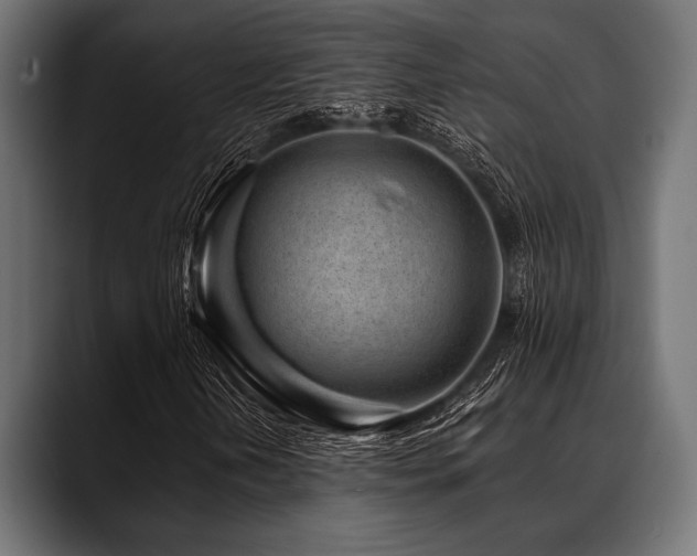 X0000088611202200705251214