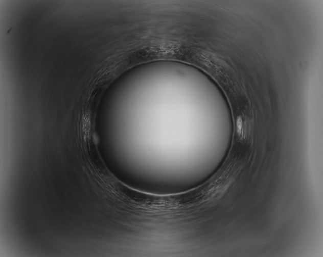 X0000088611203200705251214