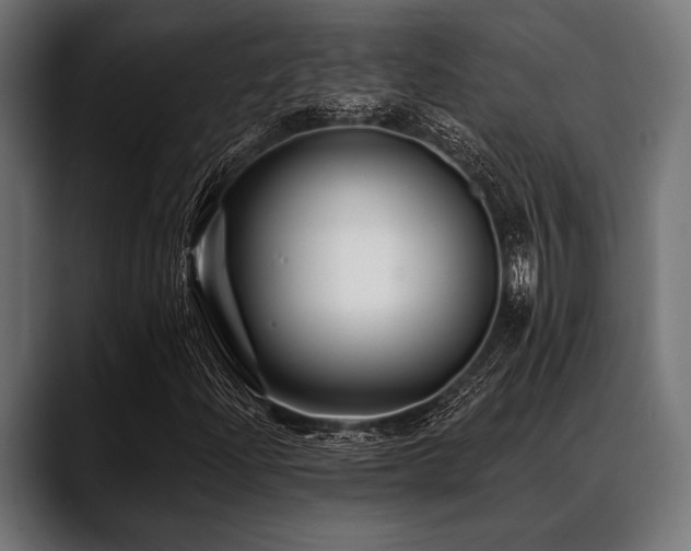 X0000088611204200705251214