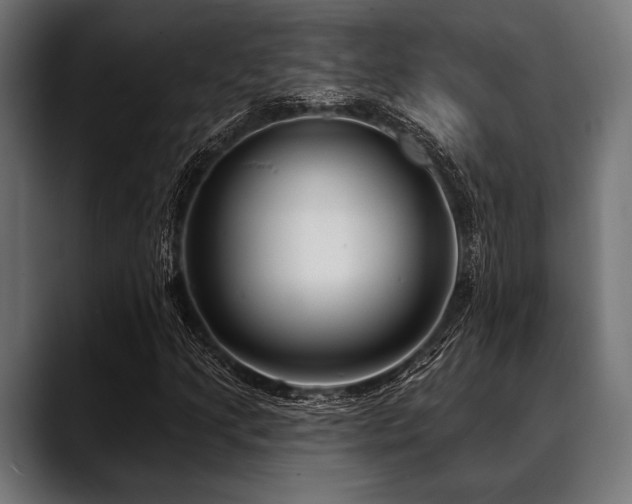 X0000088611205200705251214