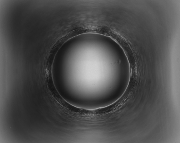 X0000088611206200705251214