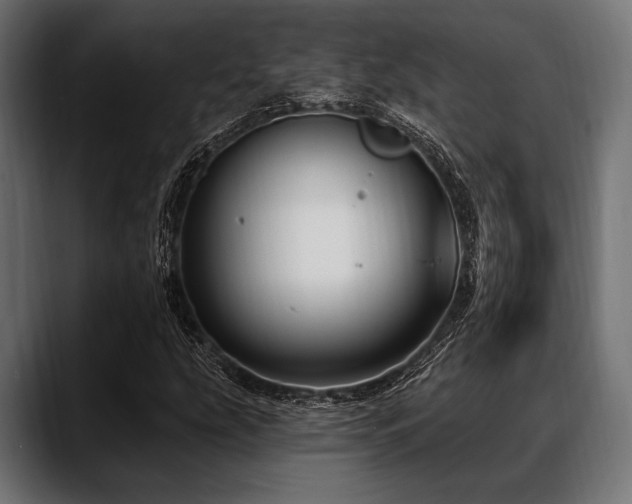 X0000088611207200705251214