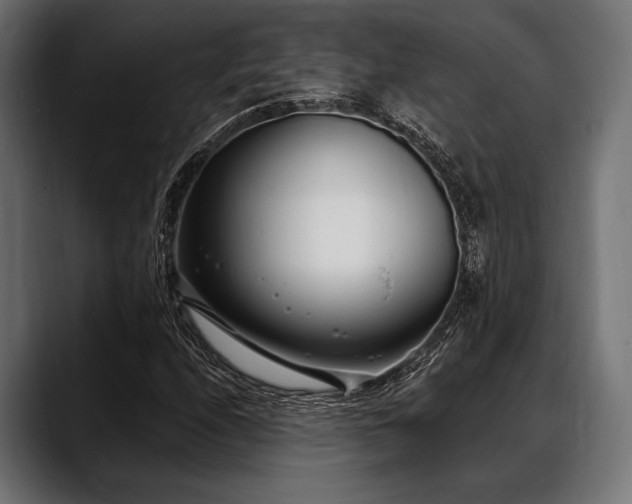 X0000088611208200705251214