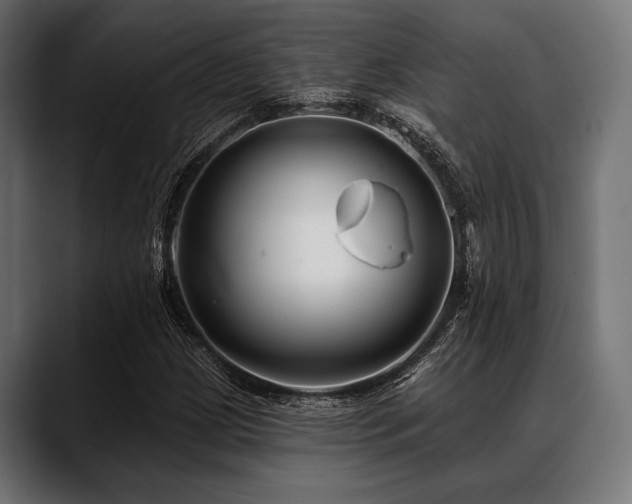 X0000088611209200705251214