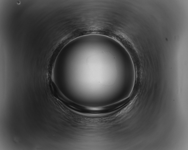 X0000088611210200705251214