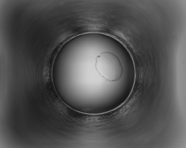 X0000088611211200705251214