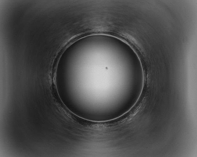 X0000088611212200705251214