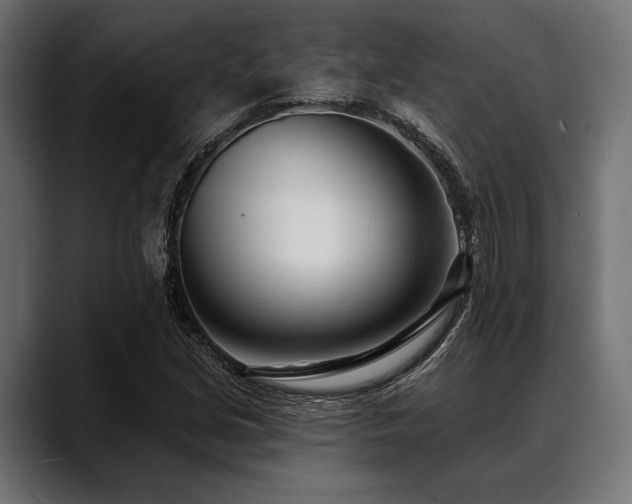 X0000088611213200705251214