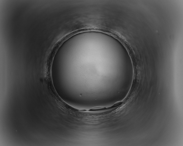 X0000088611215200705251214