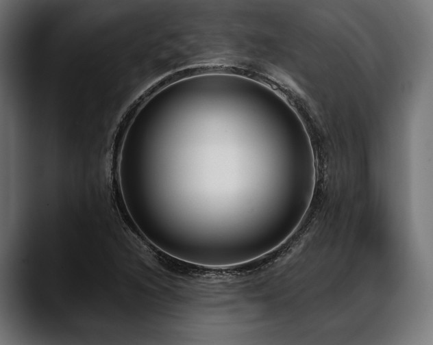 X0000088611216200705251214