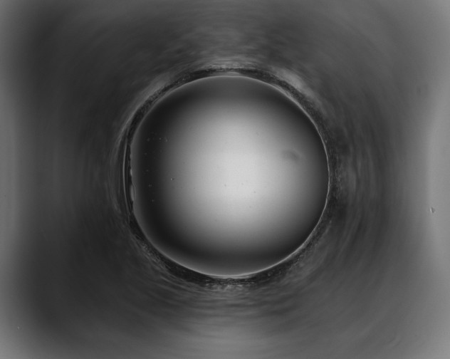 X0000088611221200705251214