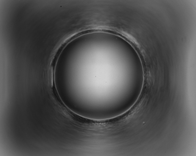 X0000088611223200705251214