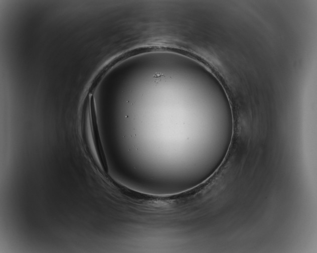 X0000088611224200705251214