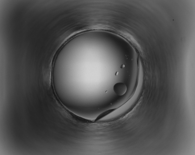 X0000088611228200705251214