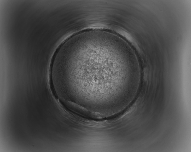 X0000088611229200705251214