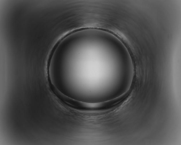 X0000088611230200705251214