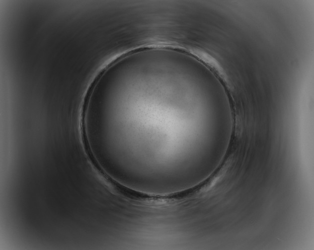 X0000088611231200705251214