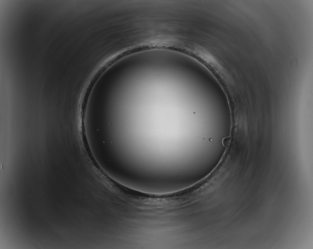 X0000088611232200705251214