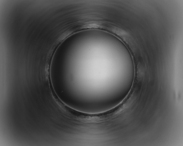 X0000088611233200705251214