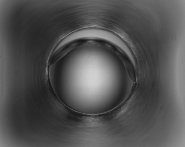 X0000088611234200705251214