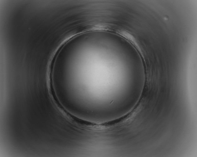 X0000088611235200705251214