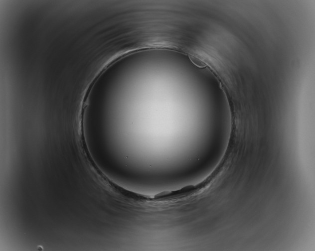 X0000088611236200705251214