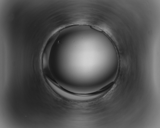 X0000088611238200705251214