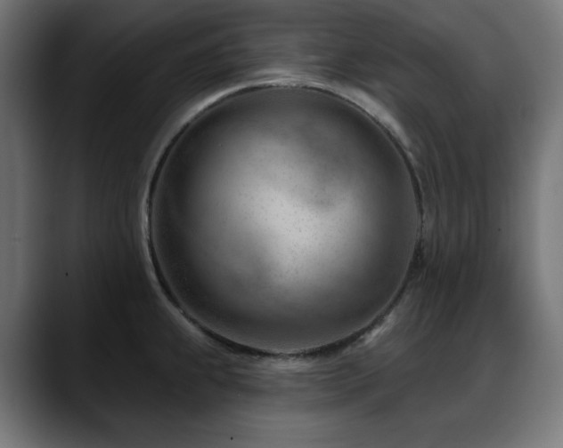 X0000088611239200705251214