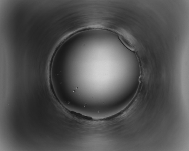 X0000088611240200705251214