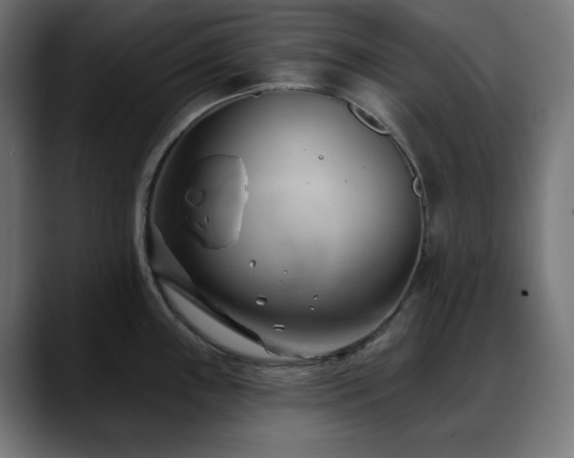 X0000088611243200705251214