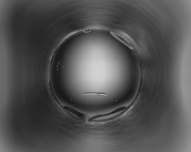 X0000088611244200705251214