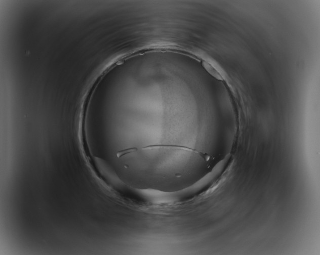 X0000088611245200705251214