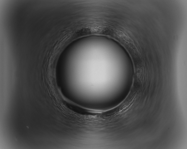 X0000088611249200705251213