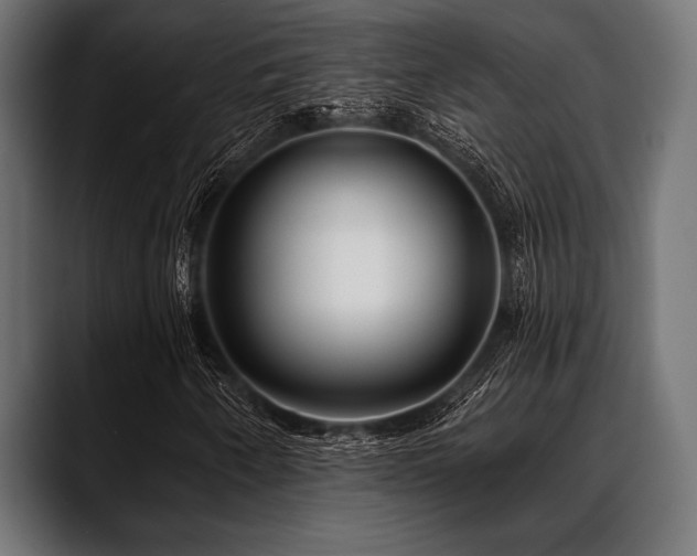 X0000088611250200705251213