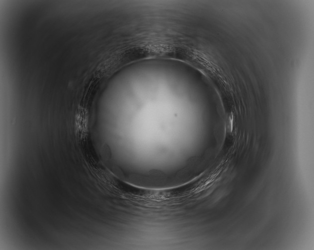 X0000088611251200705251213