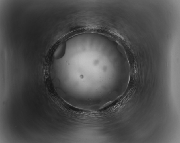 X0000088611255200705251213