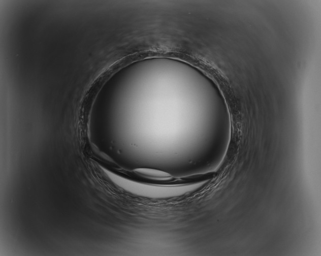 X0000088611256200705251213