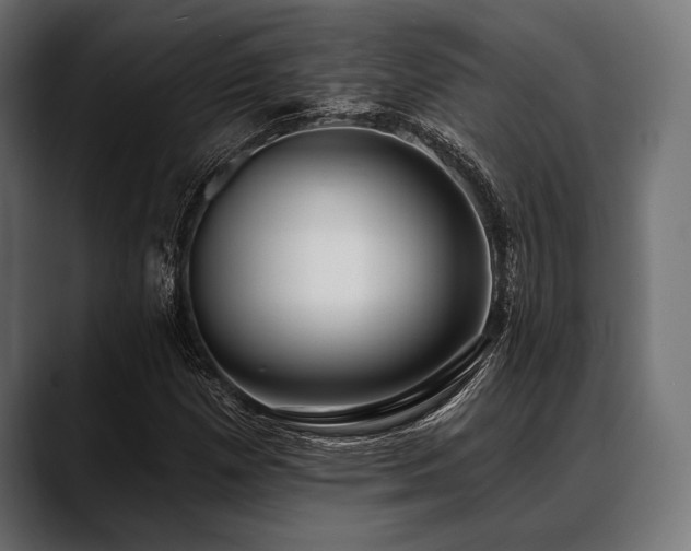 X0000088611257200705251213