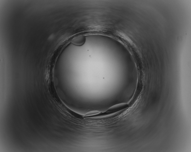 X0000088611259200705251213