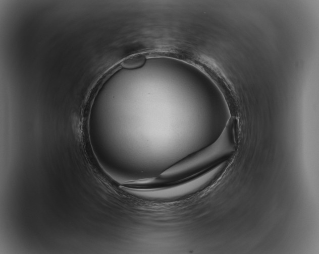 X0000088611260200705251213