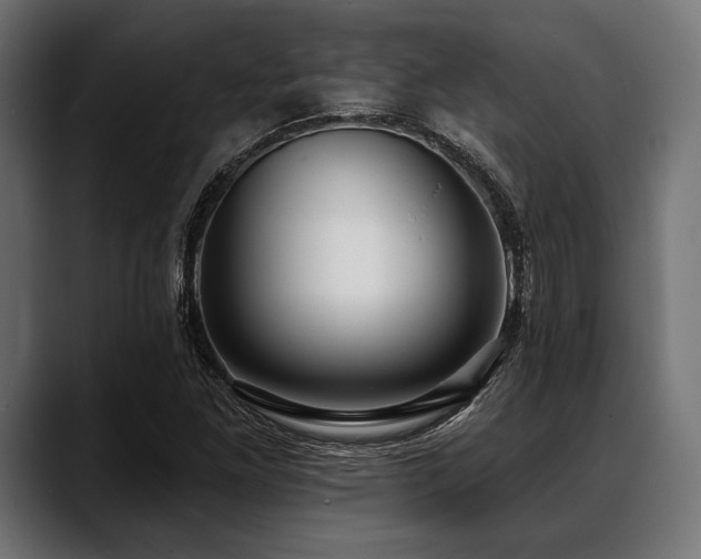 X0000088611261200705251213