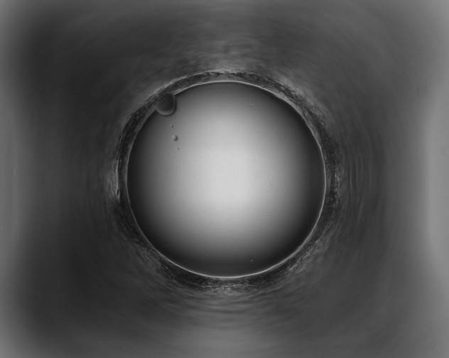 X0000088611262200705251213