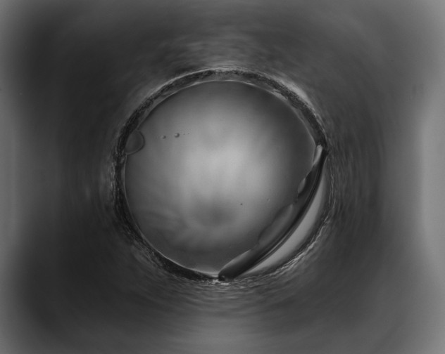 X0000088611263200705251213