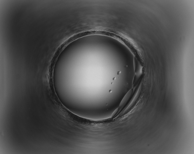 X0000088611264200705251213