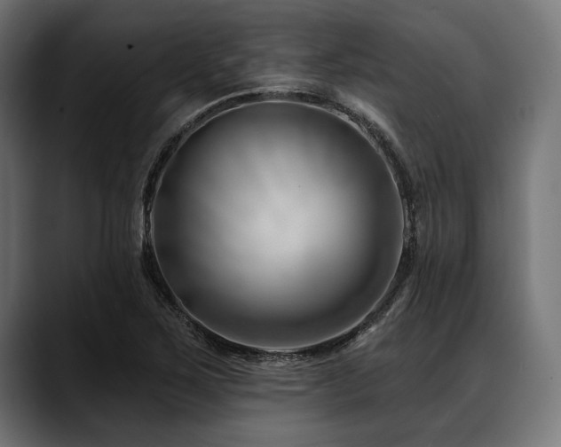 X0000088611267200705251213