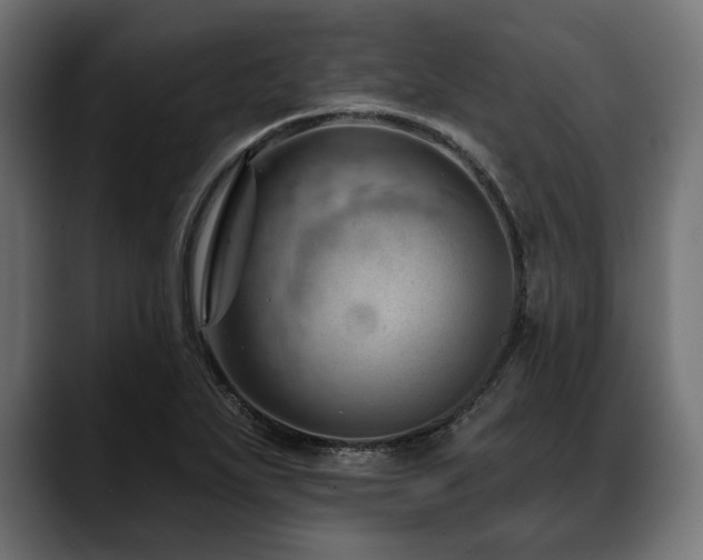 X0000088611271200705251213