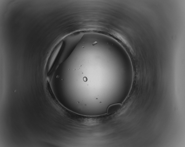 X0000088611275200705251213