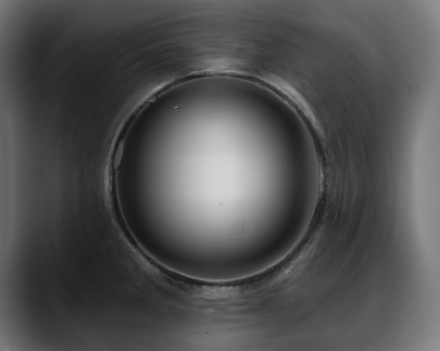 X0000088611285200705251213