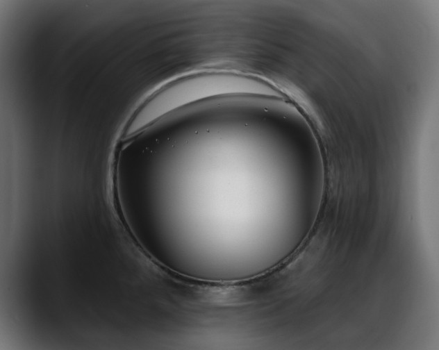 X0000088611288200705251213