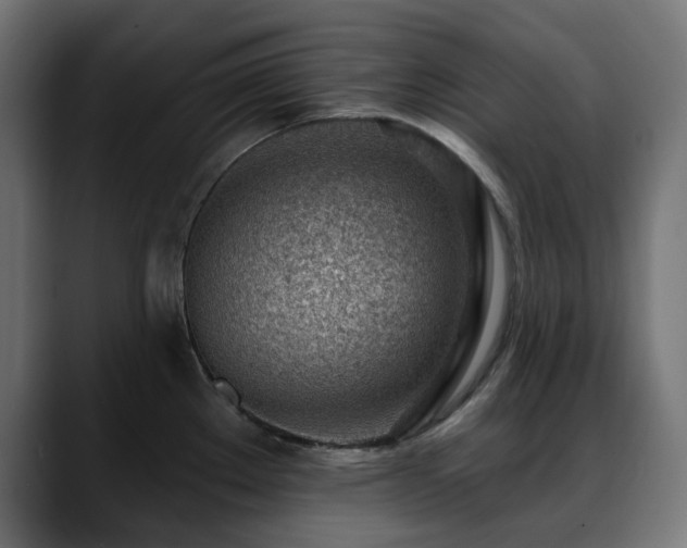 X0000088611289200705251213